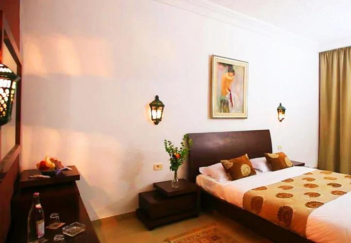 Les Palmiers - Vue 3