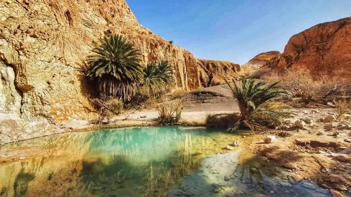 Vacances au sud de la Tunisie : une escapade entre désert, oasis et traditions